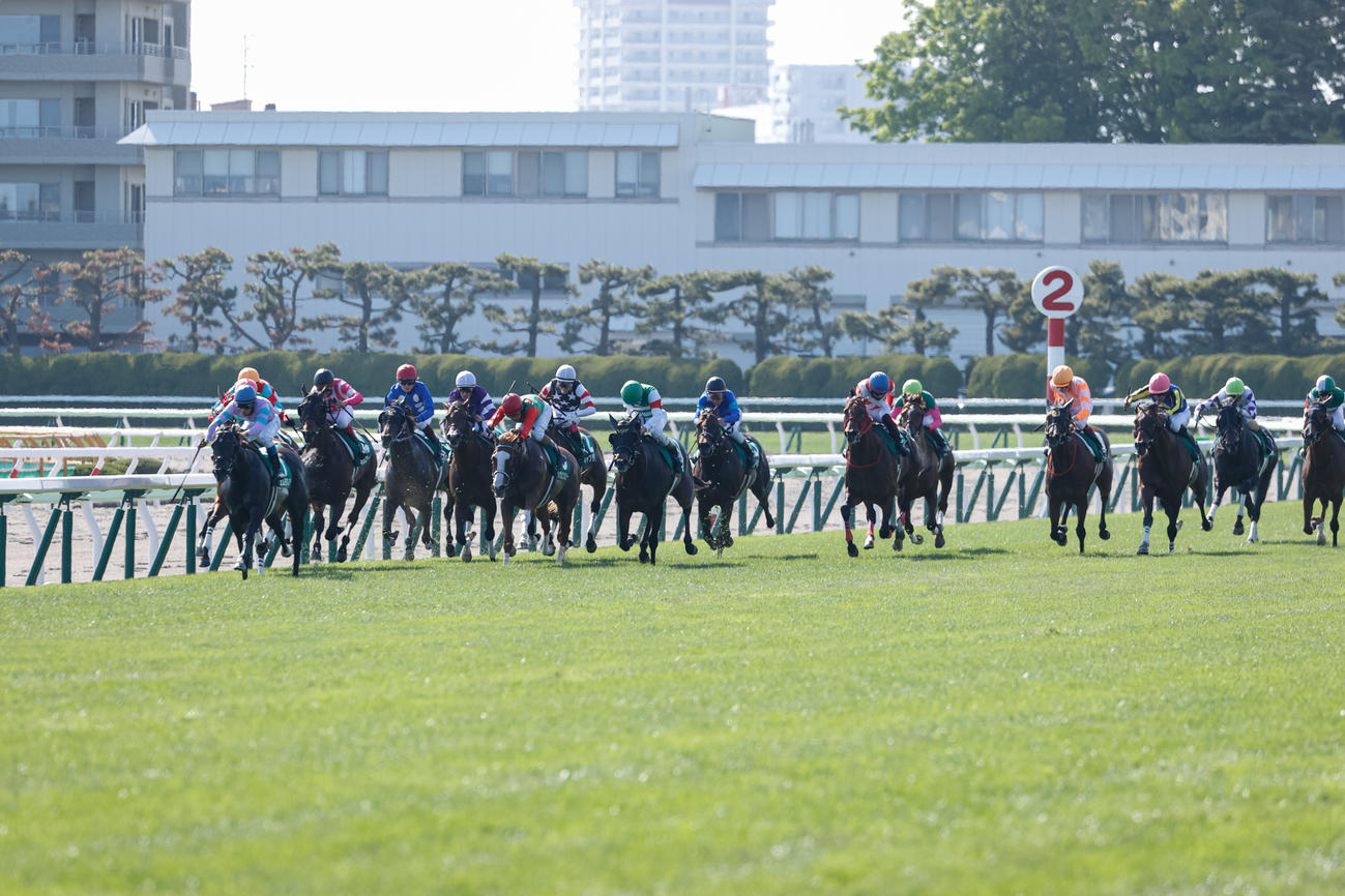 22年函館SSで3着に入ったタイセイアベニール（左から4頭目）
