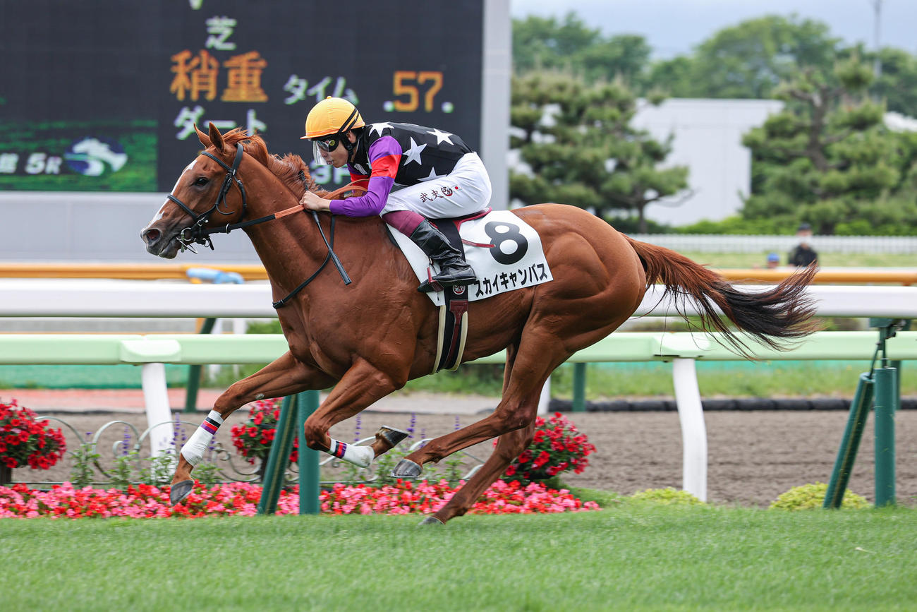 デビュー戦を制したスカイキャンバス（撮影・村野早祐）
