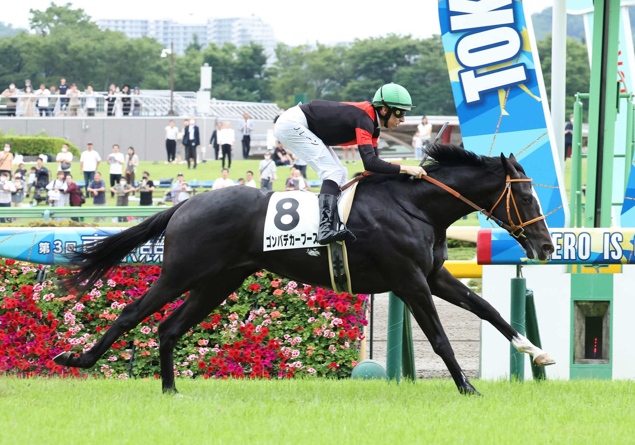 東京5R、デビュー戦を制したゴンバデカーブースとレーン騎手（撮影・丹羽敏通）