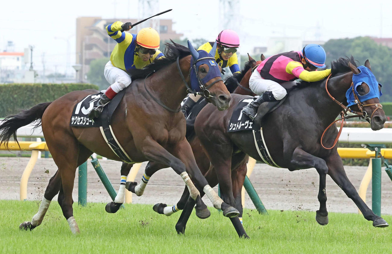 直線力強く伸びてジューンSを制したサクセスシュートと田辺騎手（左）（撮影・丹羽敏通）