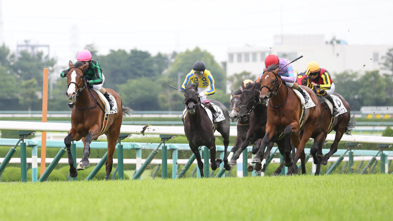 直線抜け出して新馬戦を快勝したヒヒーン（左）（撮影・白石智彦）