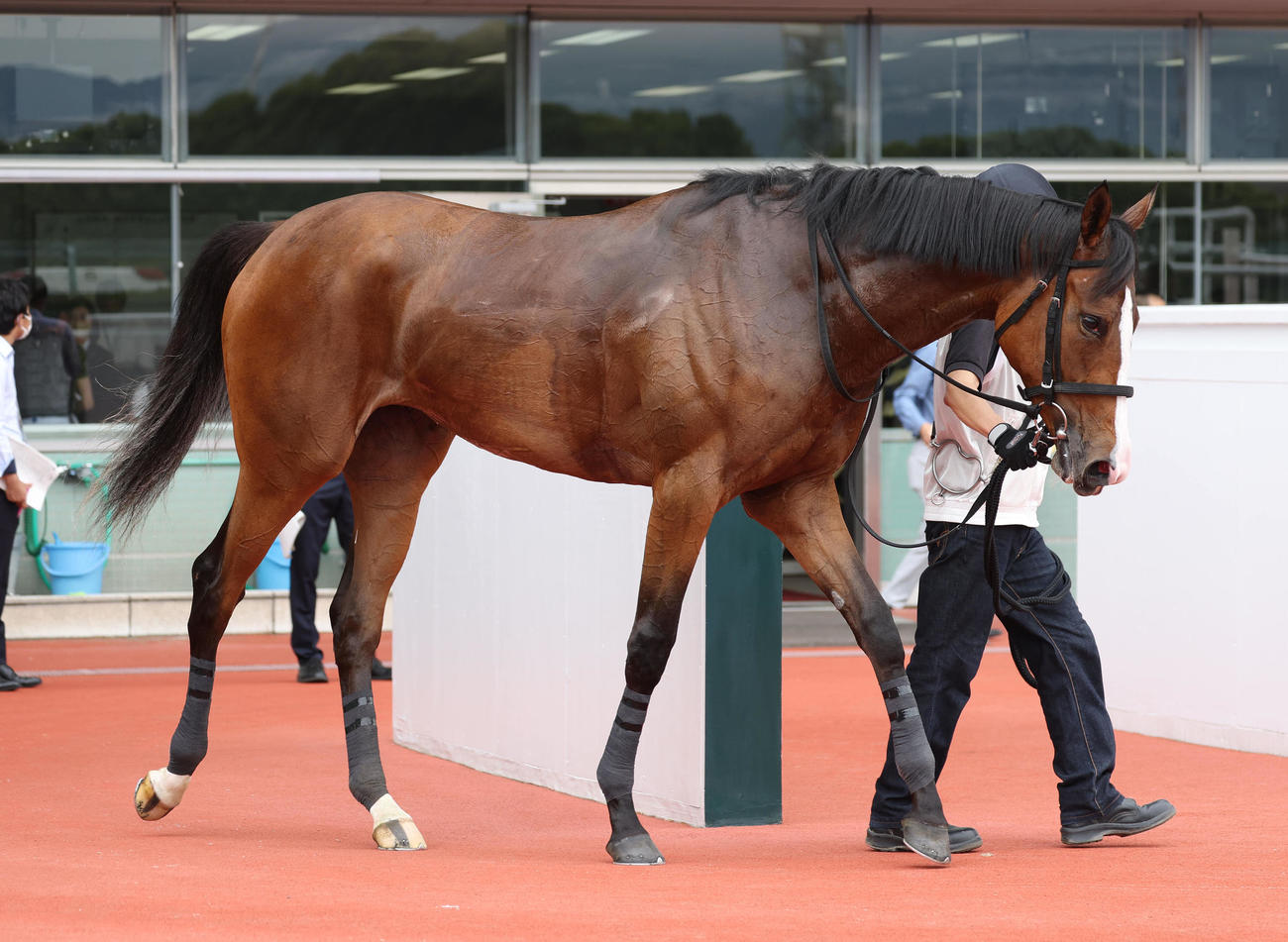 新馬戦を快勝したヒヒーン（撮影・白石智彦）