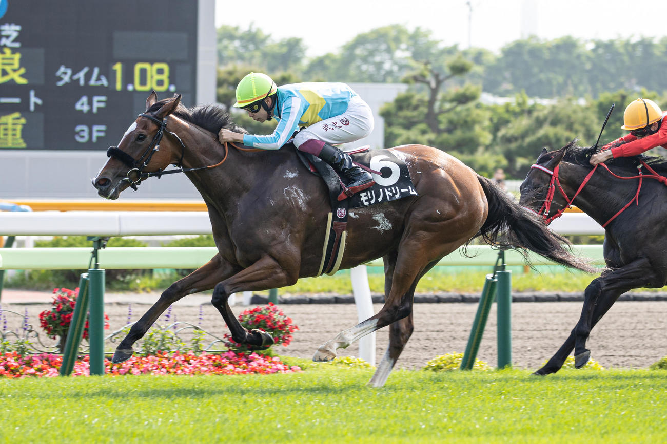 函館日刊スポーツ杯を制したモリノドリームと横山武騎手（撮影・村野早祐）