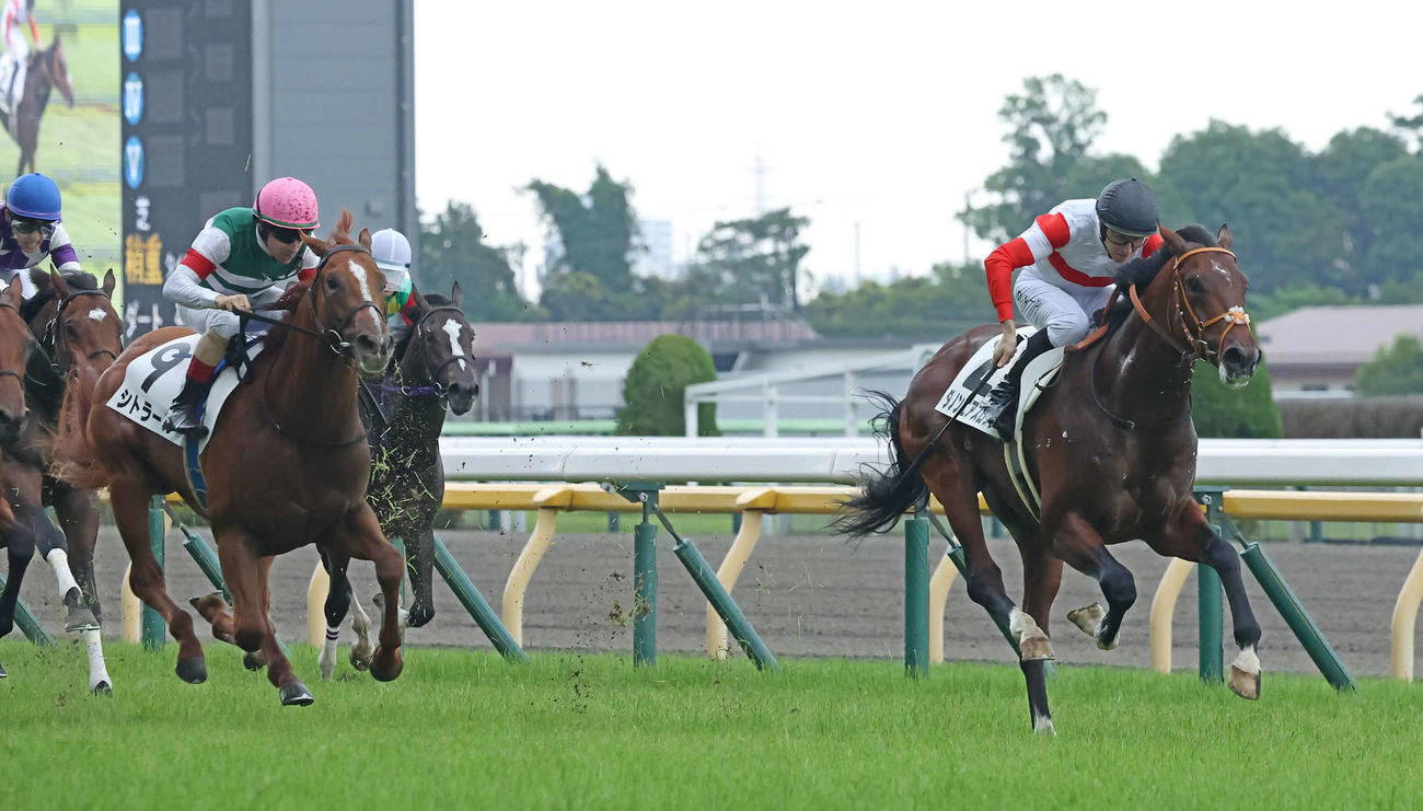 東京5R、デビュー戦を快勝したダノンエアズロックとレーン騎手（右）。左は3着シトラール（撮影・丹羽敏通）