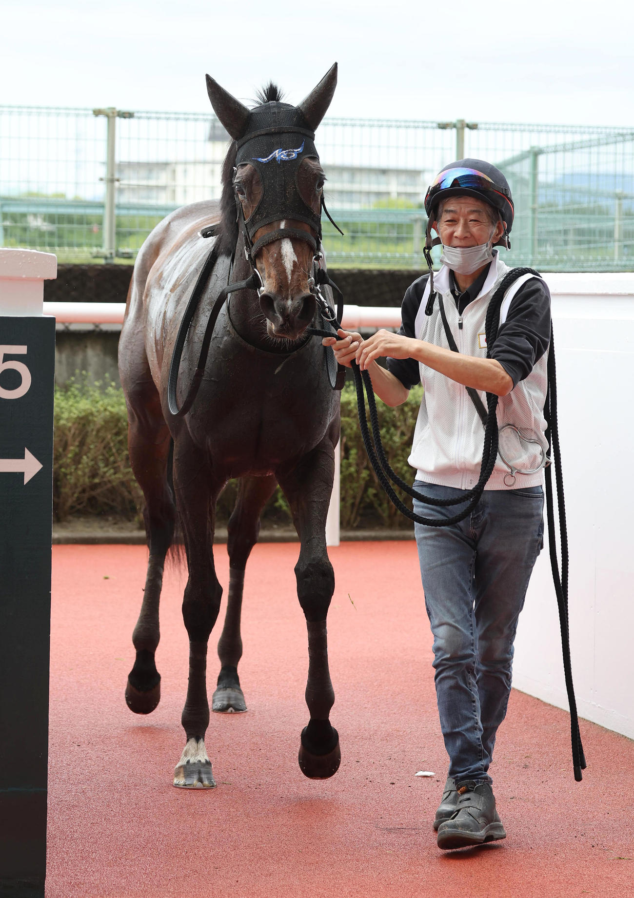 阪神6R、5着でレースを終えたホウオウロザリーと引き揚げる今浪厩務員（撮影・白石智彦）