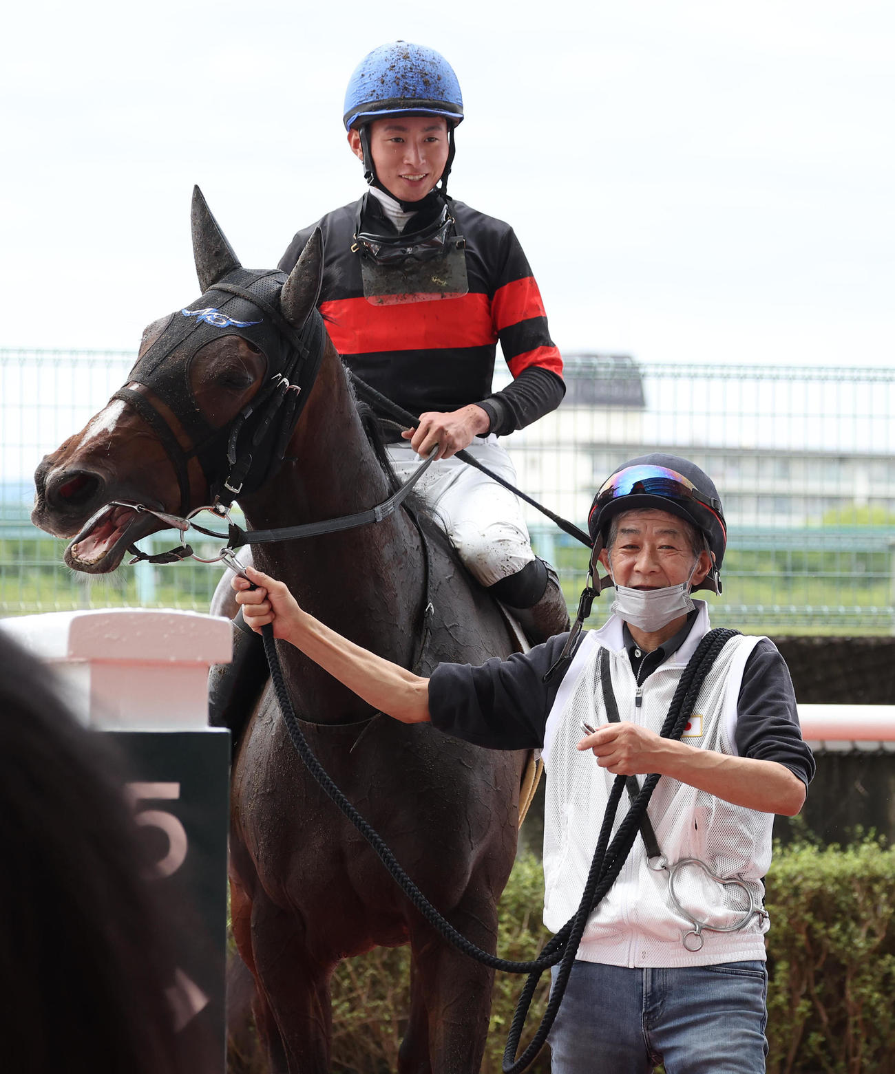 阪神6R、5着でレースを終えたホウオウロザリーを出迎える今浪厩務員（撮影・白石智彦）