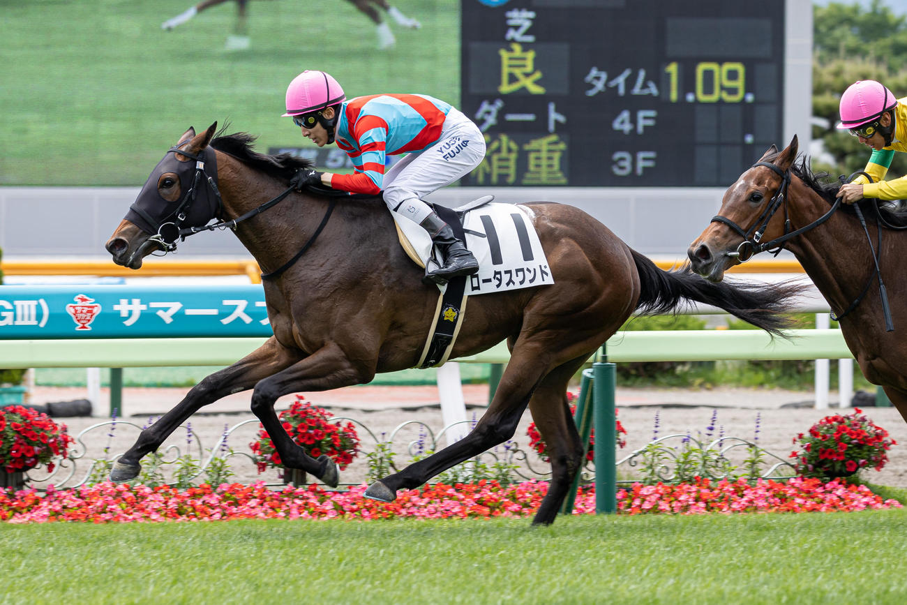 函館5R、デビュー戦を制したロータスワンドと藤岡佑騎手（撮影・村野早祐）