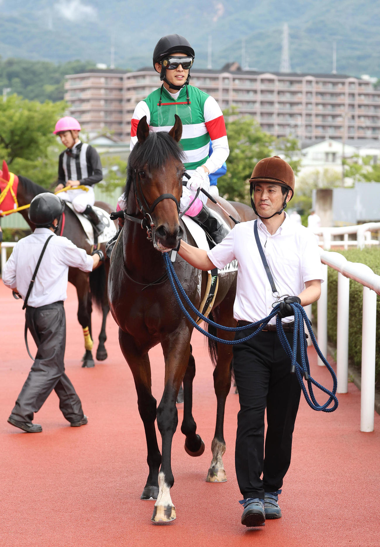阪神5R、新馬戦を快勝したミルテンベルク（撮影・白石智彦）