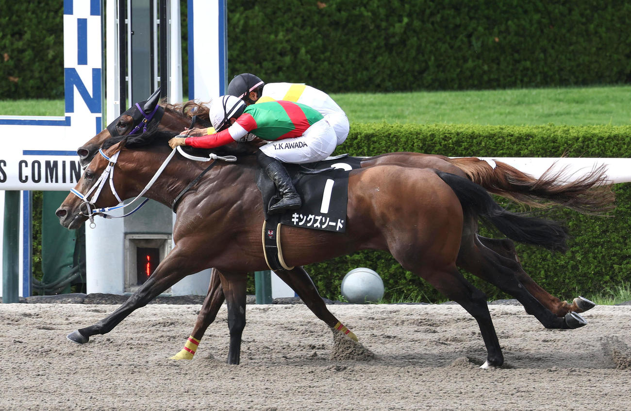阪神11R、メイクアリープ（奥）との接戦を制して三宮Sを勝利したキングズソード（撮影・白石智彦）