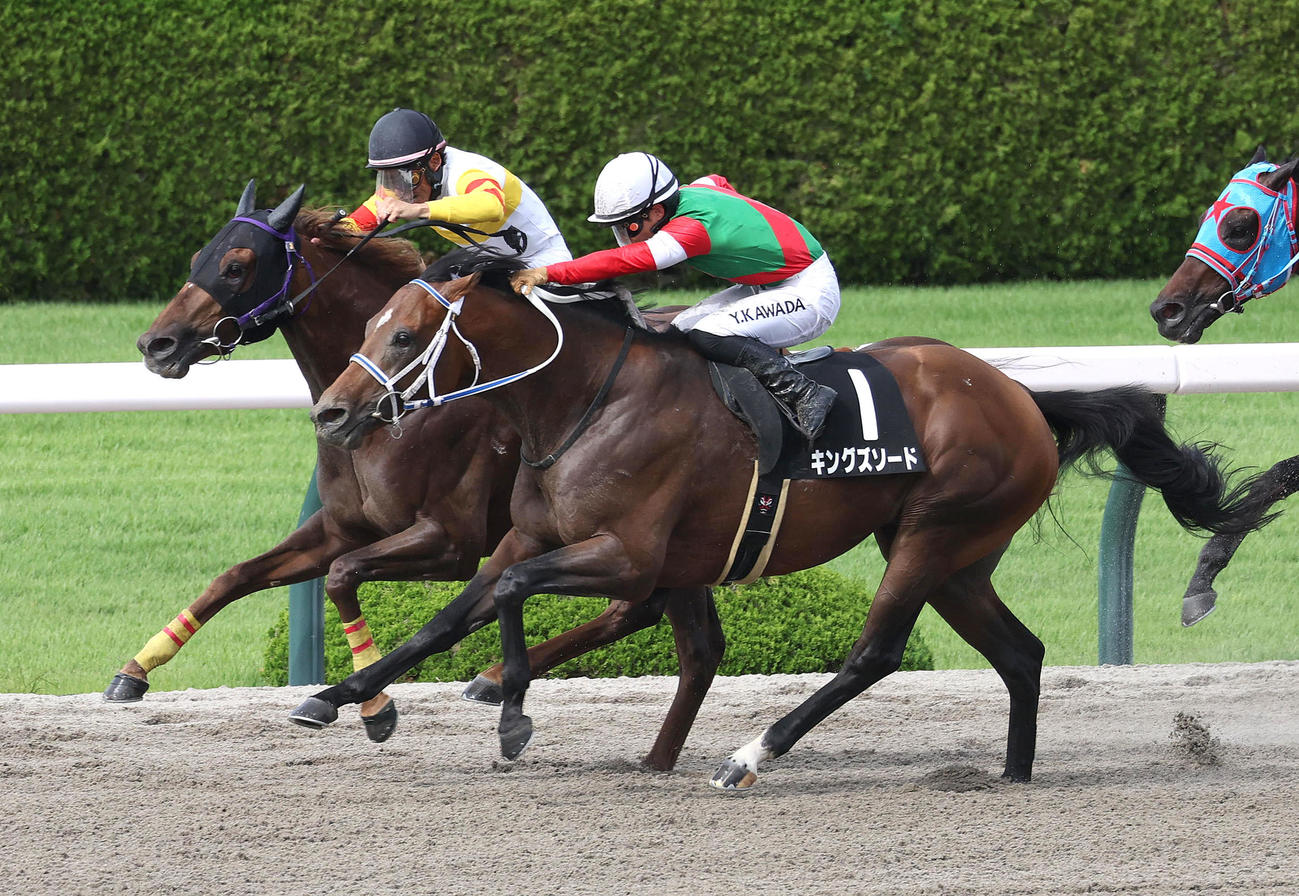阪神11R、メイクアリープ（左）との接戦を制して三宮Sを勝利したキングズソード（撮影・白石智彦）