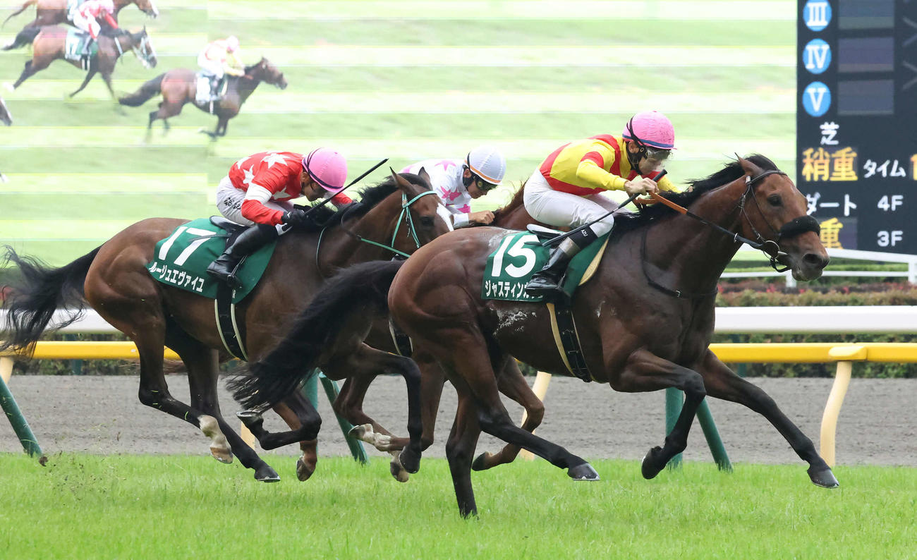 エプソムCを制したジャスティンカフェ。左は2着ルージュエヴァイユ（撮影・丹羽敏通）