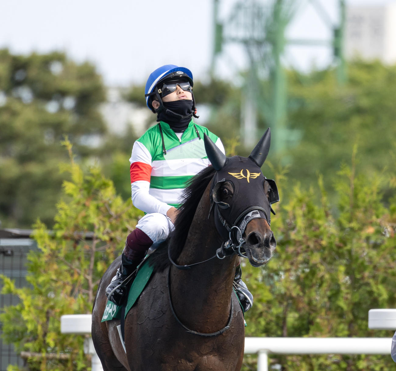 函館SS2着に敗れたジュビリーヘッド（撮影・村野早祐）