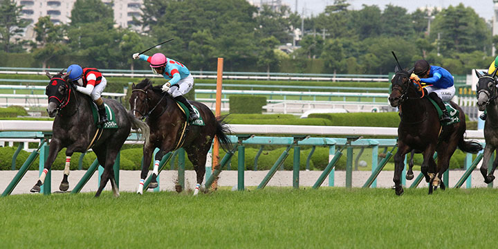 最内を突いたウインマイティー（左端）がマーメイドSを制した＝2022年6月19日、阪神競馬場
