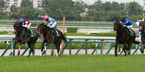 最内を突いたウインマイティー(左端)がマーメイドSを制した=2022年6月19日、阪神競馬場