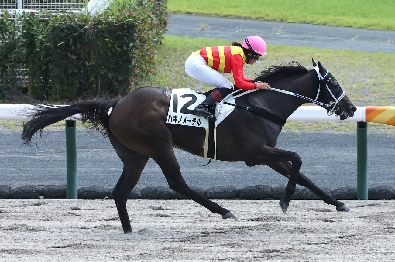 22年9月11日、中京6R3歳以上1勝クラスを制したハギノメーテルと今村騎手