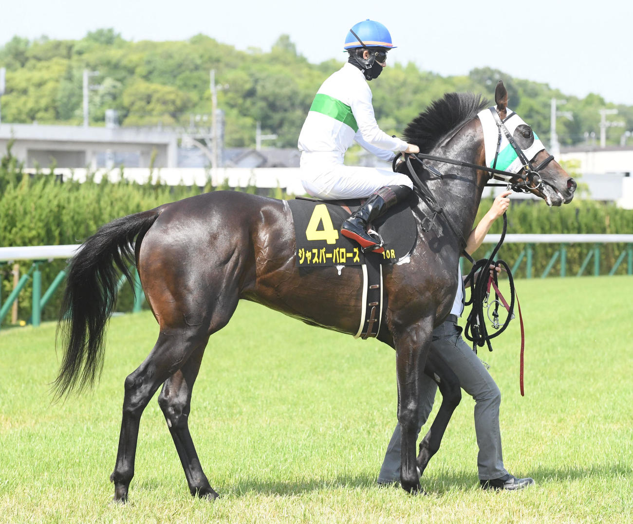 ジャスパーバローズ（2023年5月撮影）