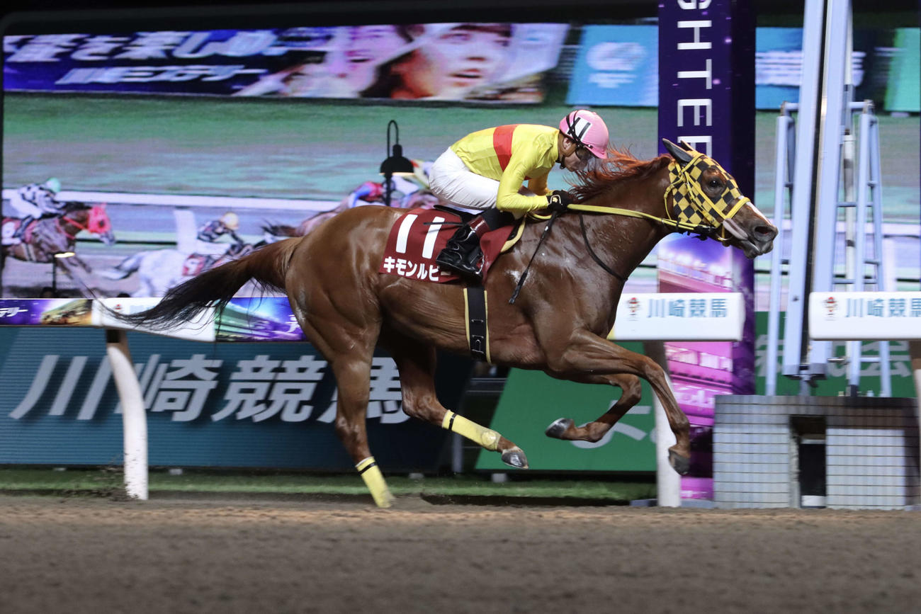 2着に3馬身差の逃げ切りで川崎スパーキングスプリントを制したキモンルビーと御神本訓史騎手