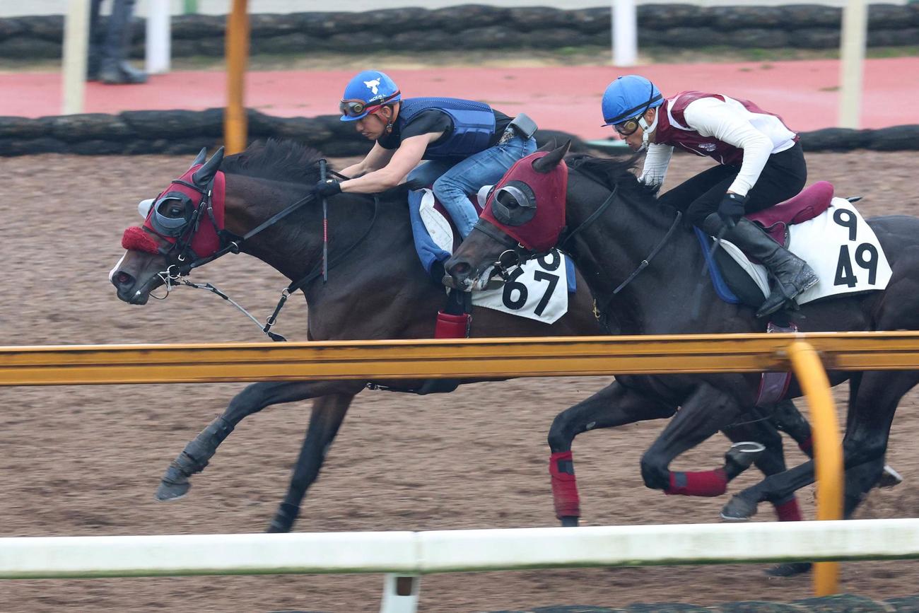 酒井学が騎乗し、併せ馬に先着するビジン（左）