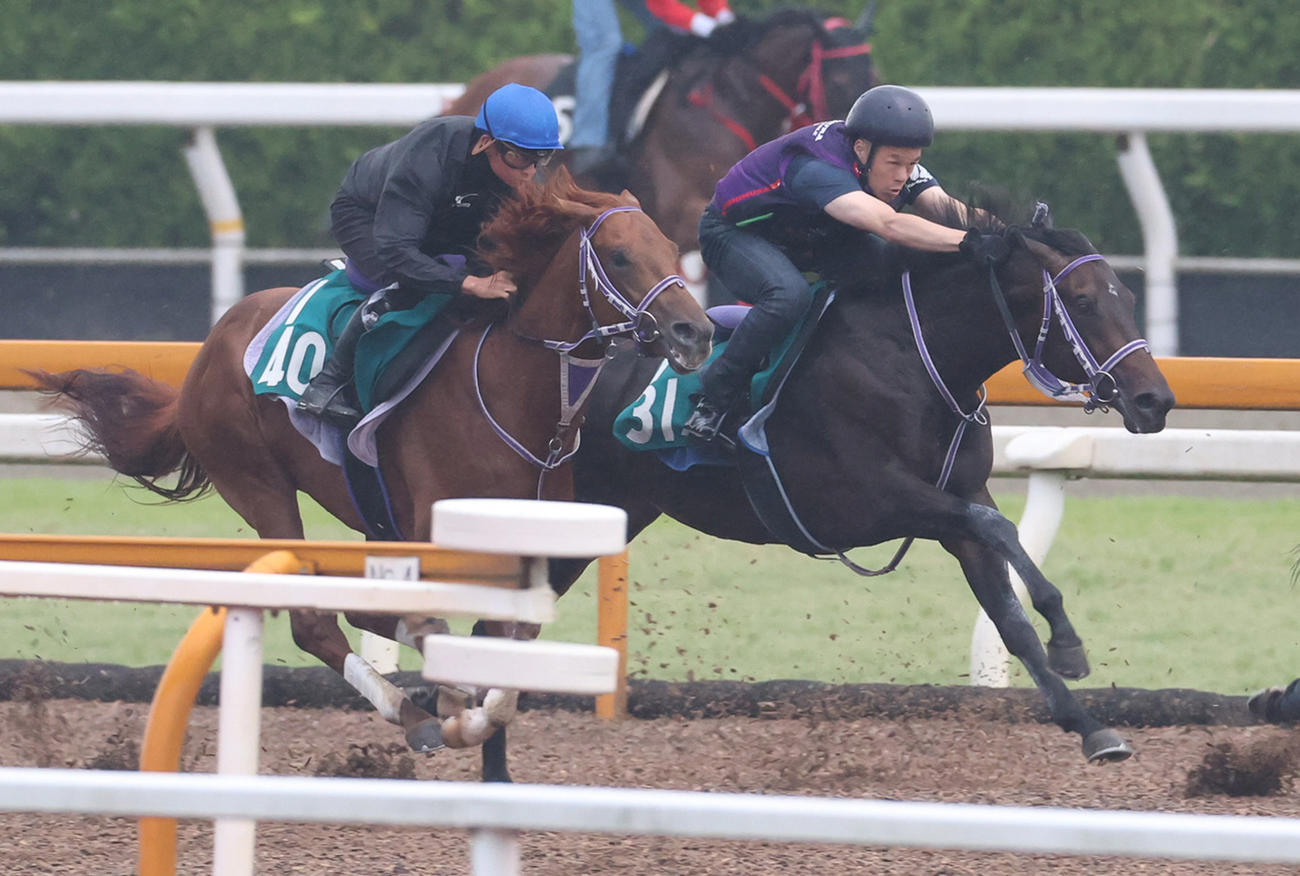 Cウッドコースで追い切るベルベストランナー（右）