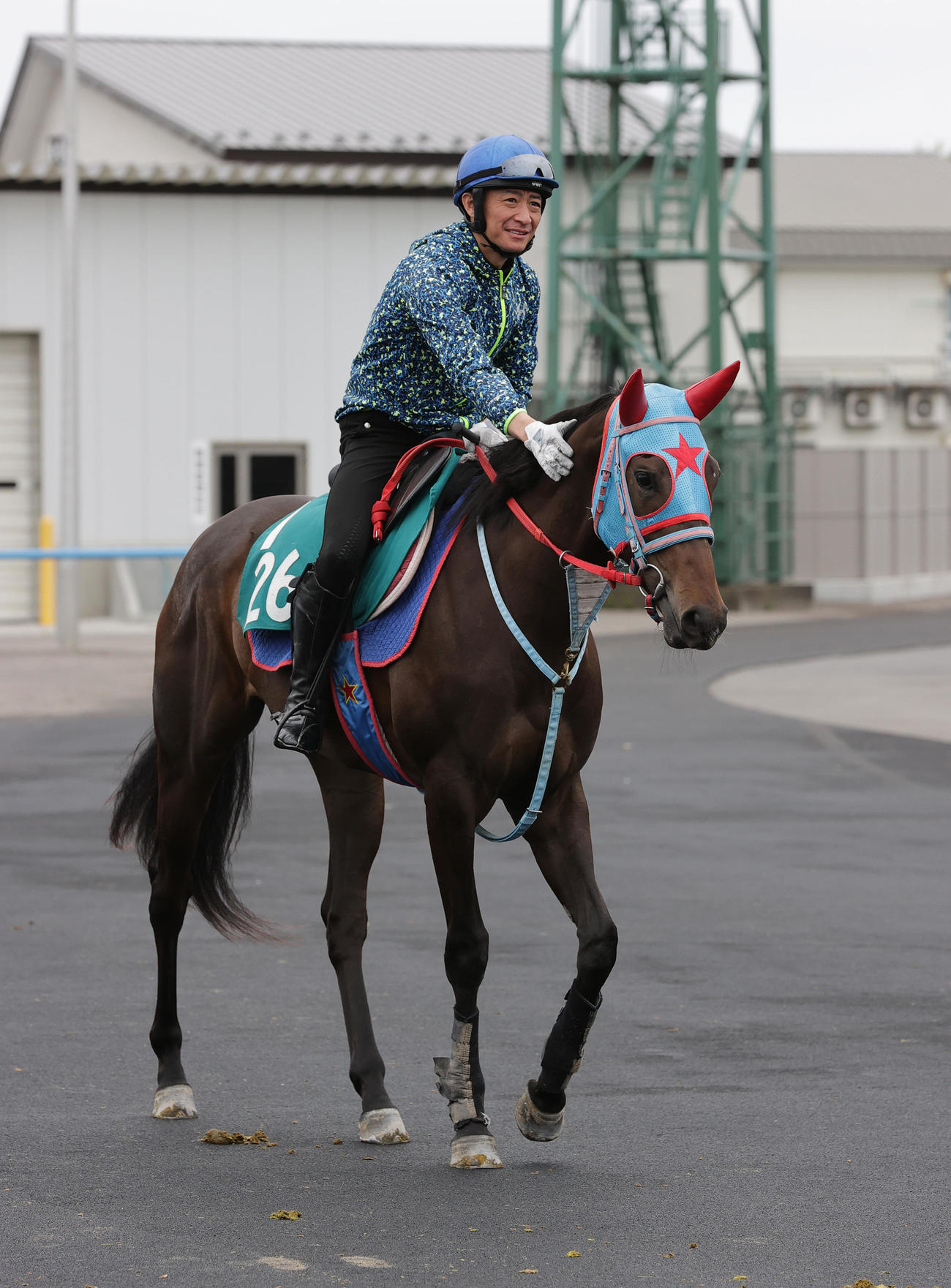 今週デビュー予定のベルパッションは、函館競馬場で調整を積む