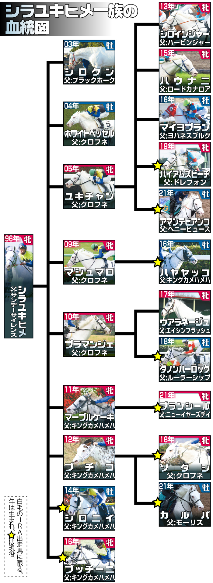 【イラスト】シラユキヒメ一族の血統図