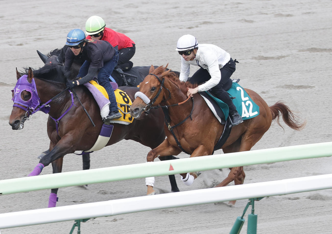 横山和生騎手を背に、函館ダートコースで併せ馬で追い切られるタケシ（右）