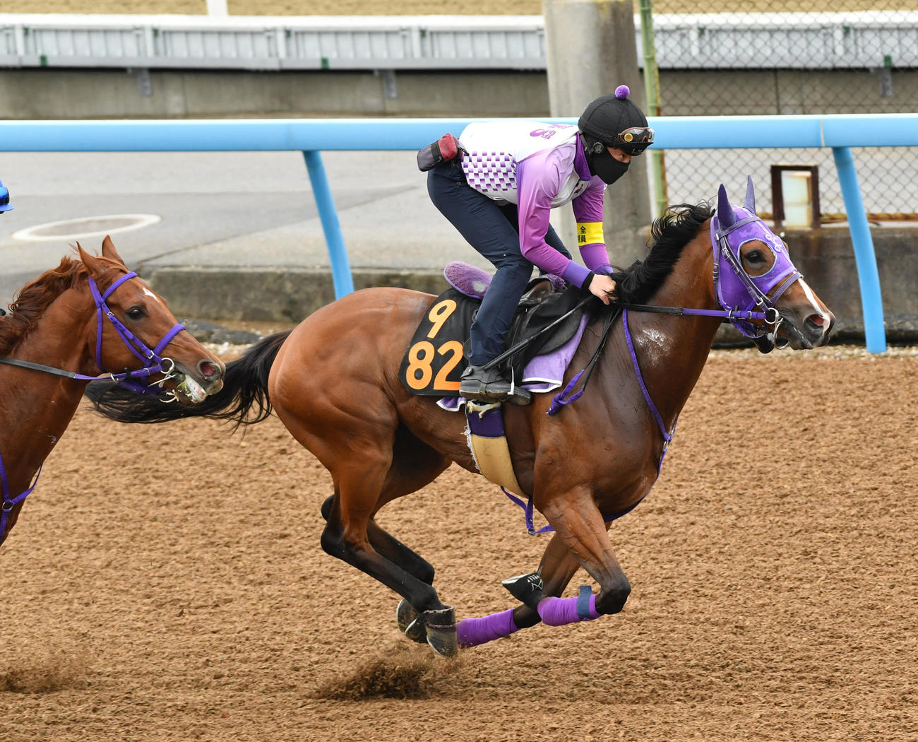 ニシノカシミヤはシリアルノヴェルと併せて追い切る（撮影・柴田隆二）