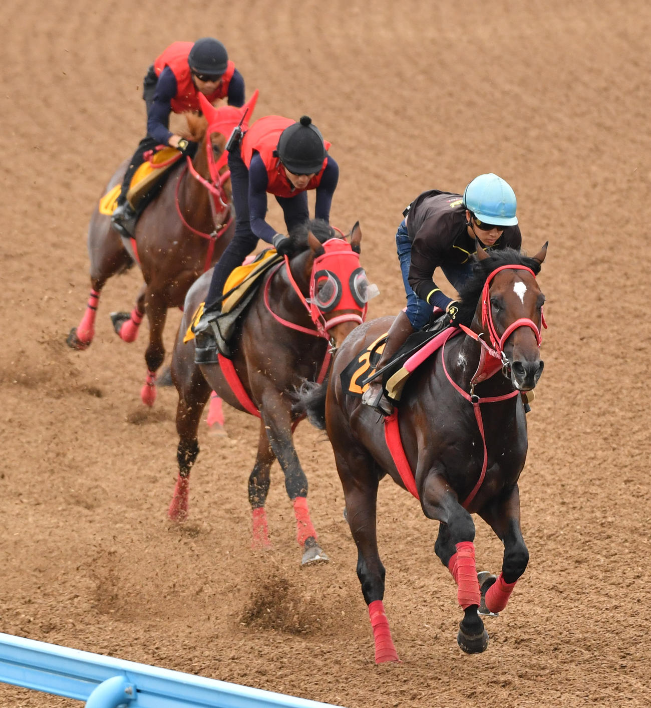 ハードワイヤード（右）はソウテン（中央）、アドマイヤルプスと併せて追い切る（撮影・柴田隆二）