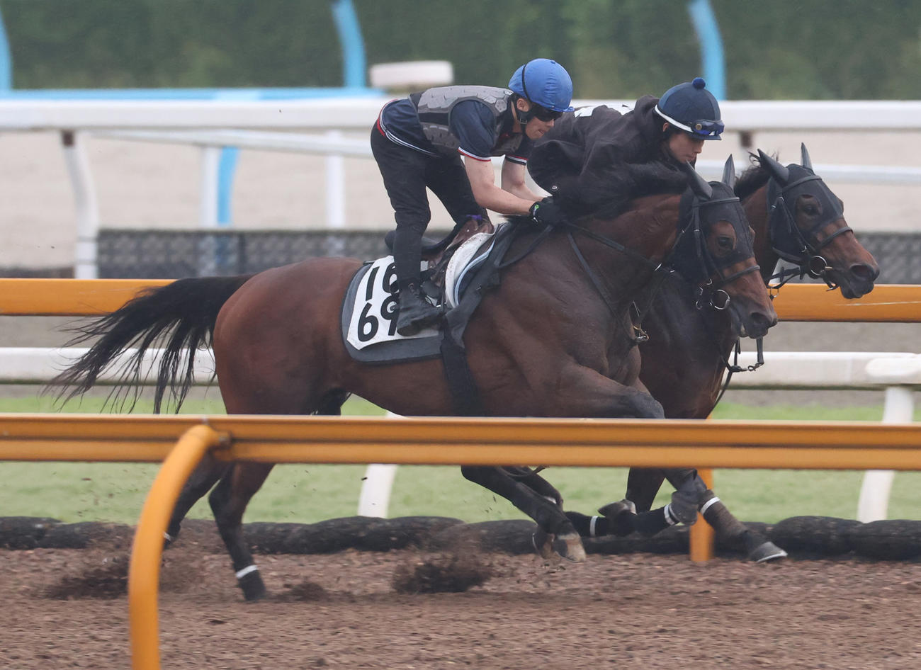 Cウッドにて併せ馬で追い切るビッグリボン