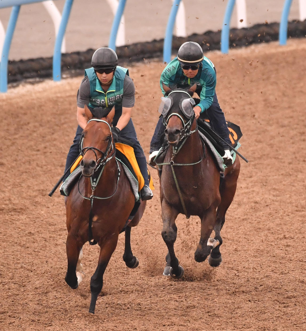 ペリエール（右）はセブンフォールドと併せて追い切る（撮影・柴田隆二）