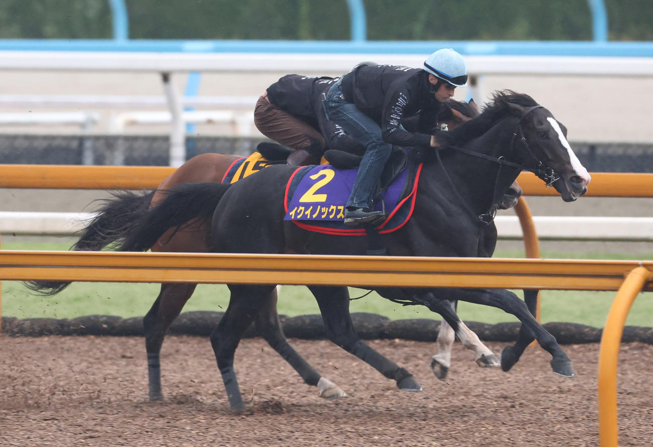 ルメール騎手を背に、Cウッドにて併せ馬で追い切るイクイノックス