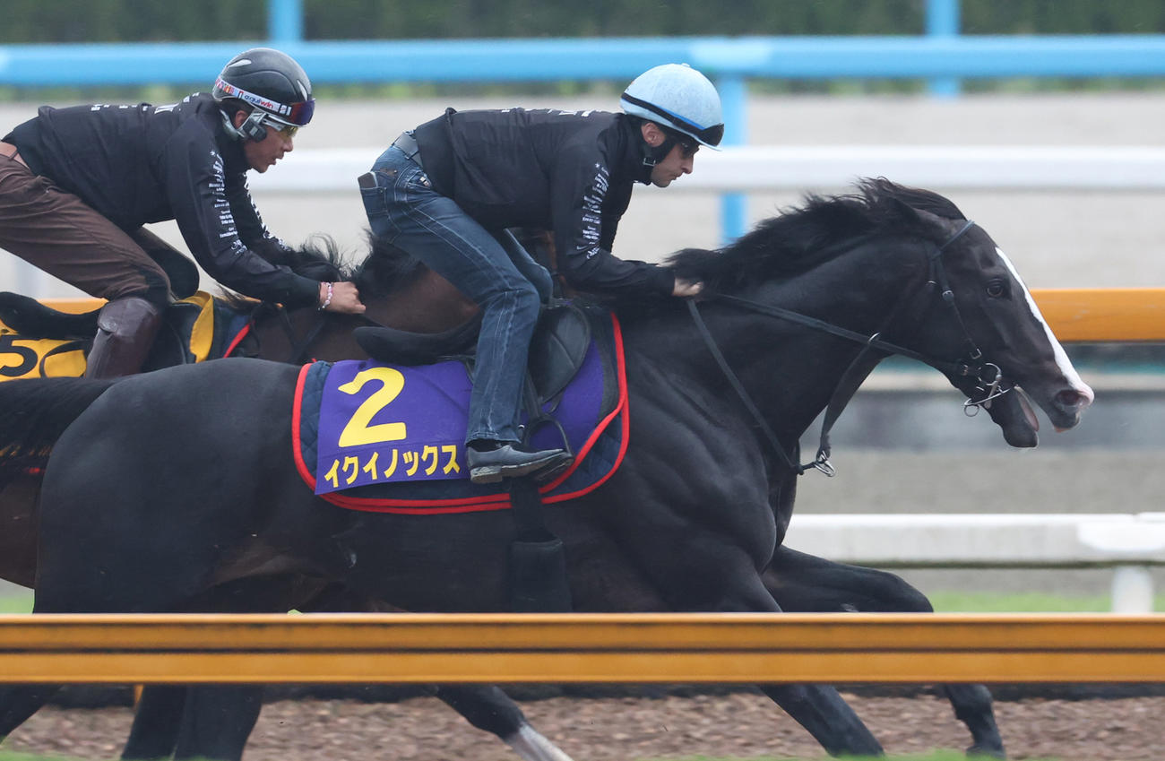 ルメール騎手を背に、Cウッドにて併せ馬で追い切るイクイノックス　