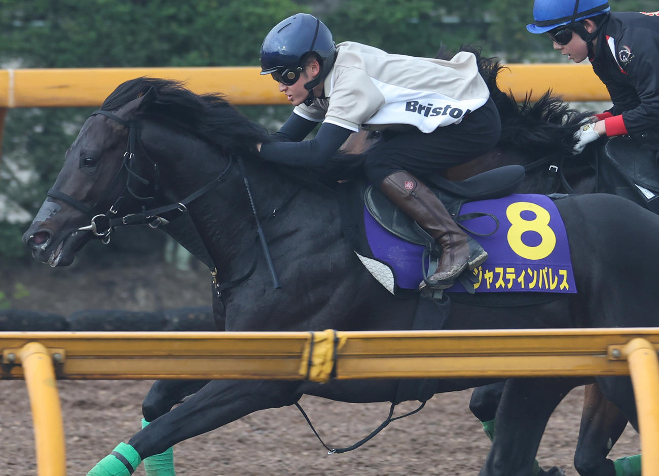 鮫島駿騎手を背に、Cウッドにて併せ馬で追い切るジャスティンパレス