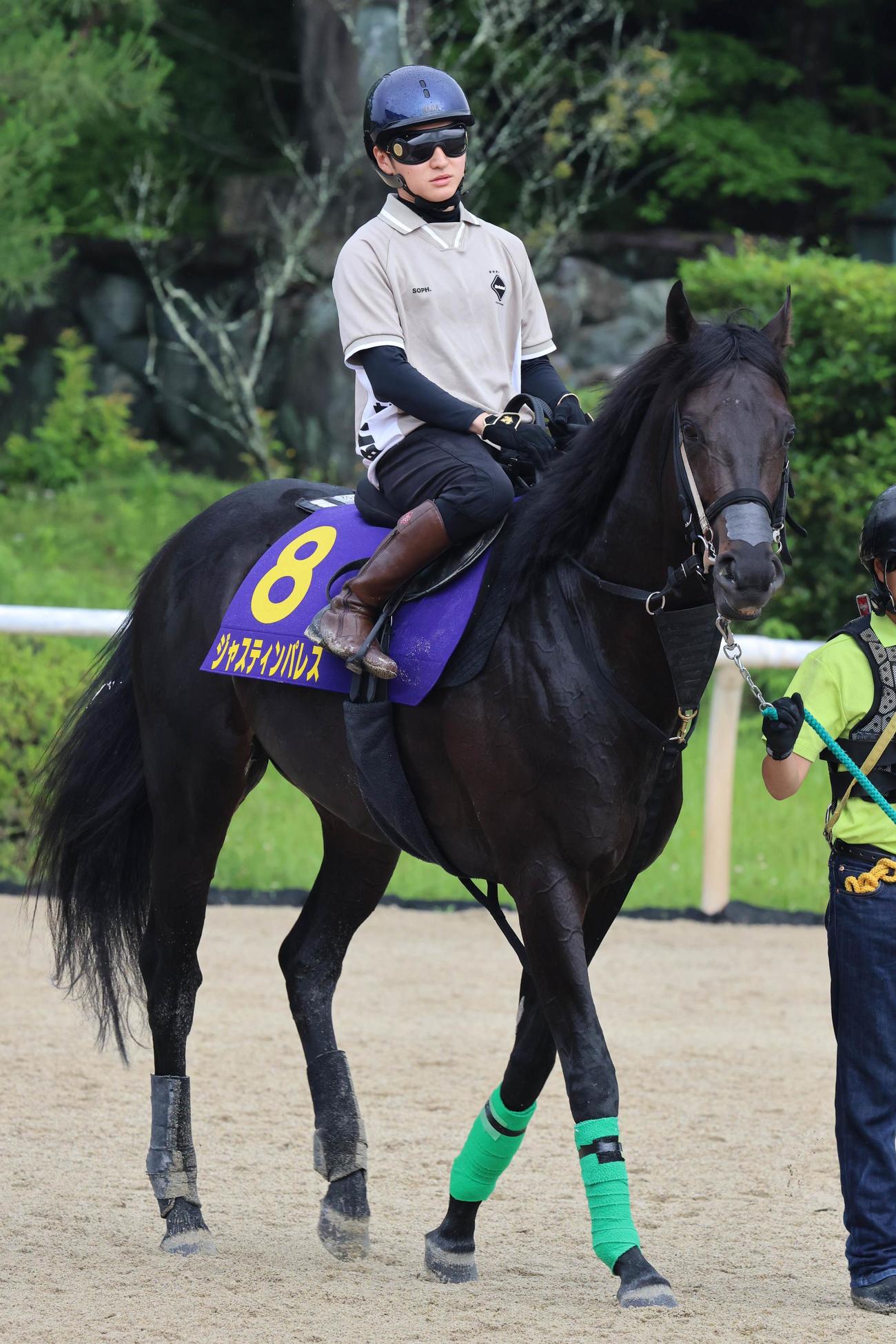 ジャスティンパレスの1週前追い切りに騎乗した鮫島駿騎手