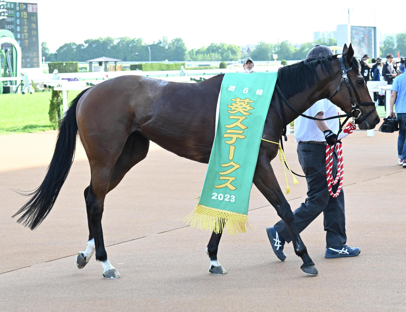 葵ステークスを制したモズメイメイ（2023年5月27日撮影）