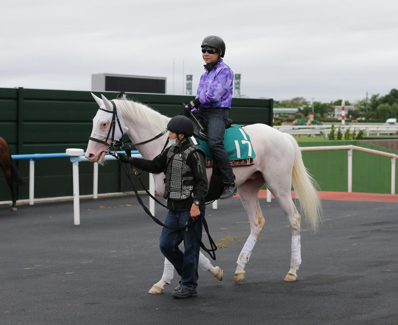 ソダシの半弟カルパは、函館競馬場で調整を積む