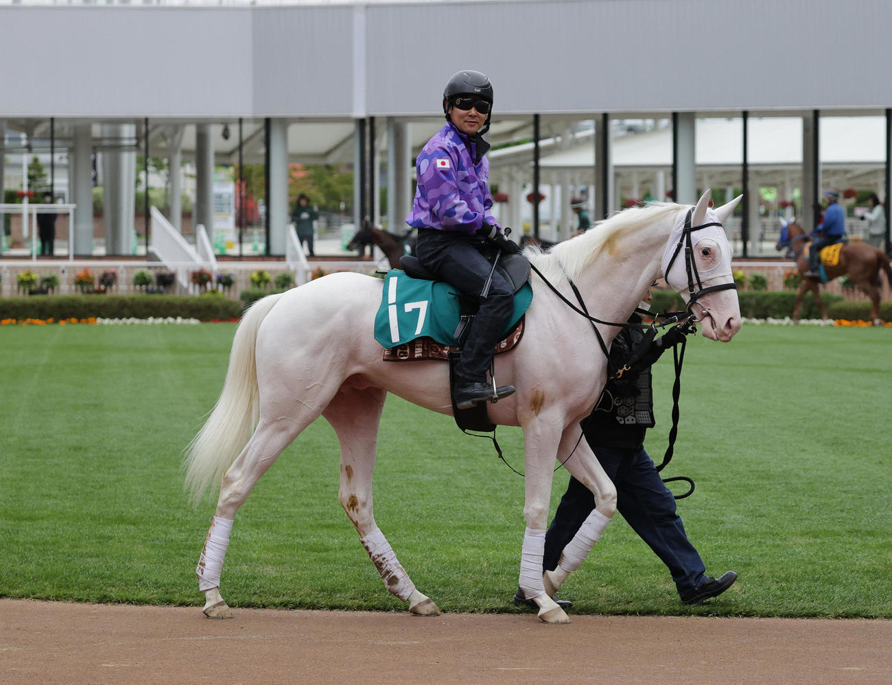 ソダシの半弟カルパは、函館競馬場で調整を積む