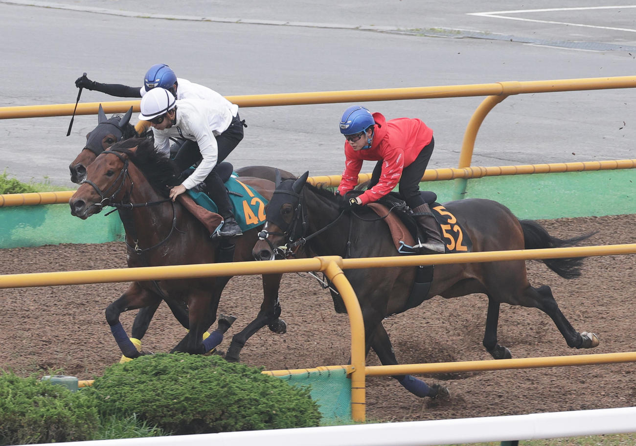 横山和騎手を背に、3頭併せで追い切られるドレッド（左端）