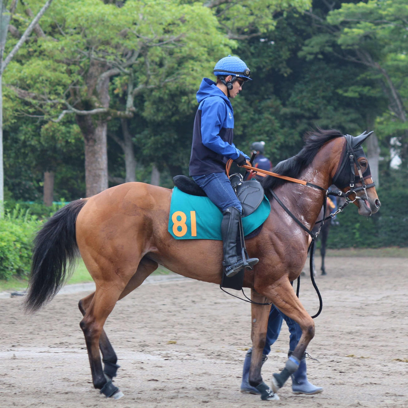 土曜東京6Rでデビューするピューロマジック
