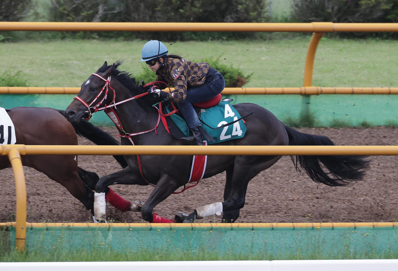 14日、古川奈穂騎手を背に、函館ウッドチップコースで併せ馬で追い切られるワイワイレジェンド