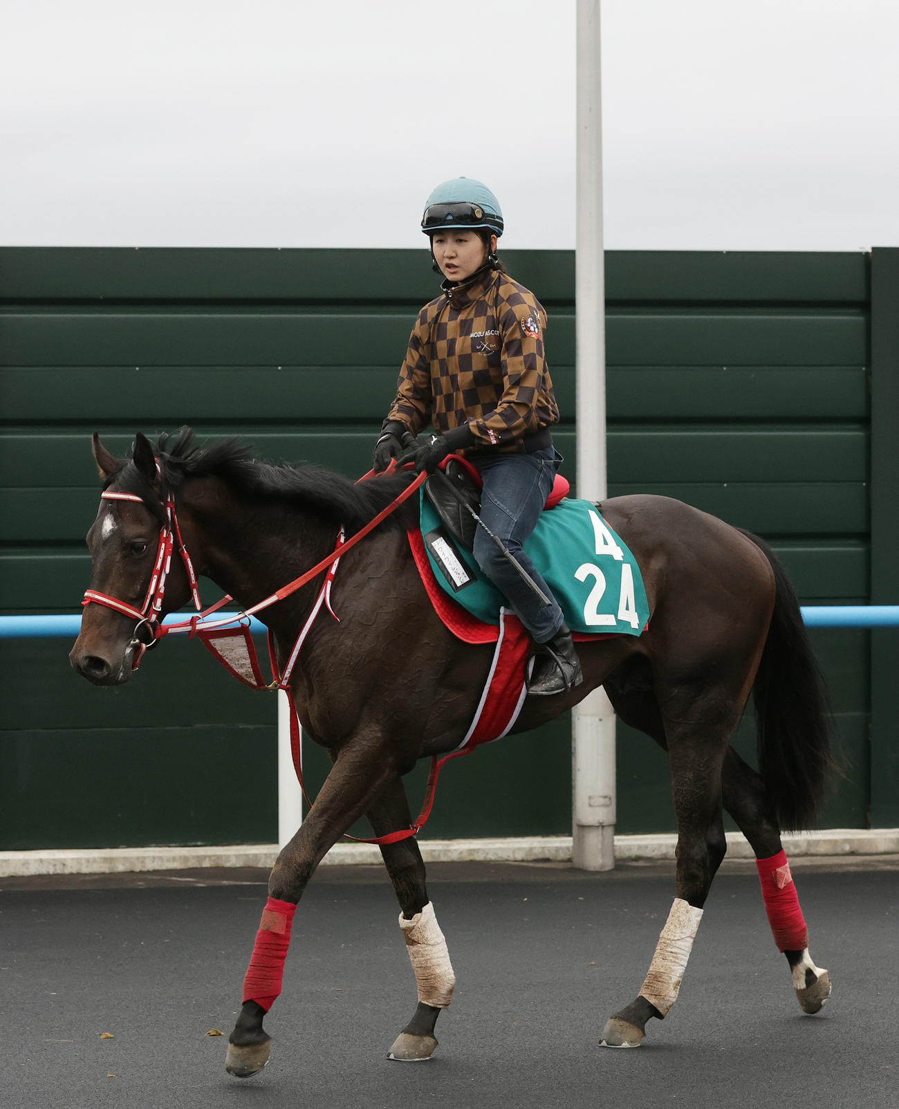 今週デビュー予定のワイワイレジェンドに騎乗する古川奈穂騎手（2023年6月13日撮影）