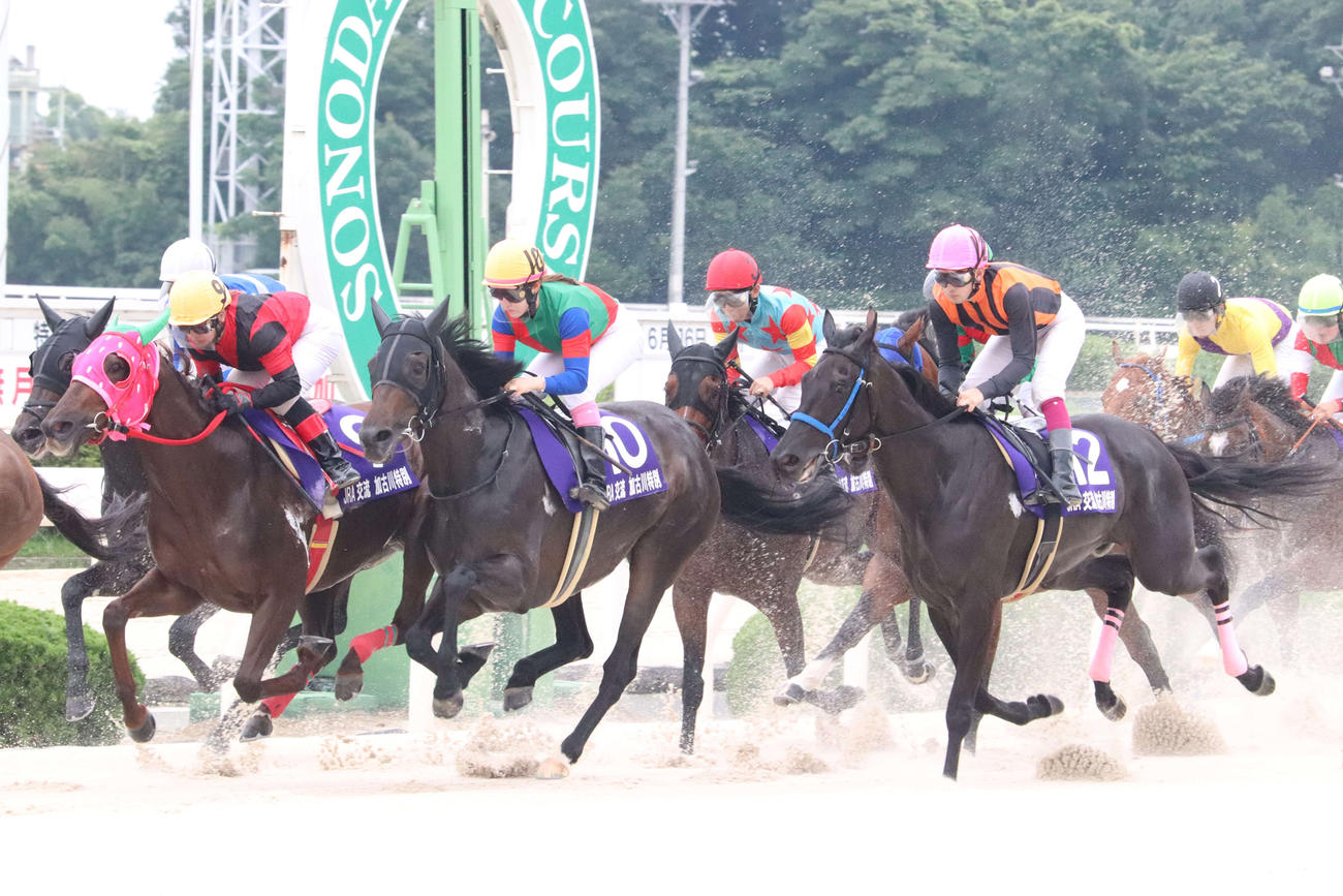 園田8R加古川特別で10番のカネトシディーバに騎乗した永島まなみ騎手
