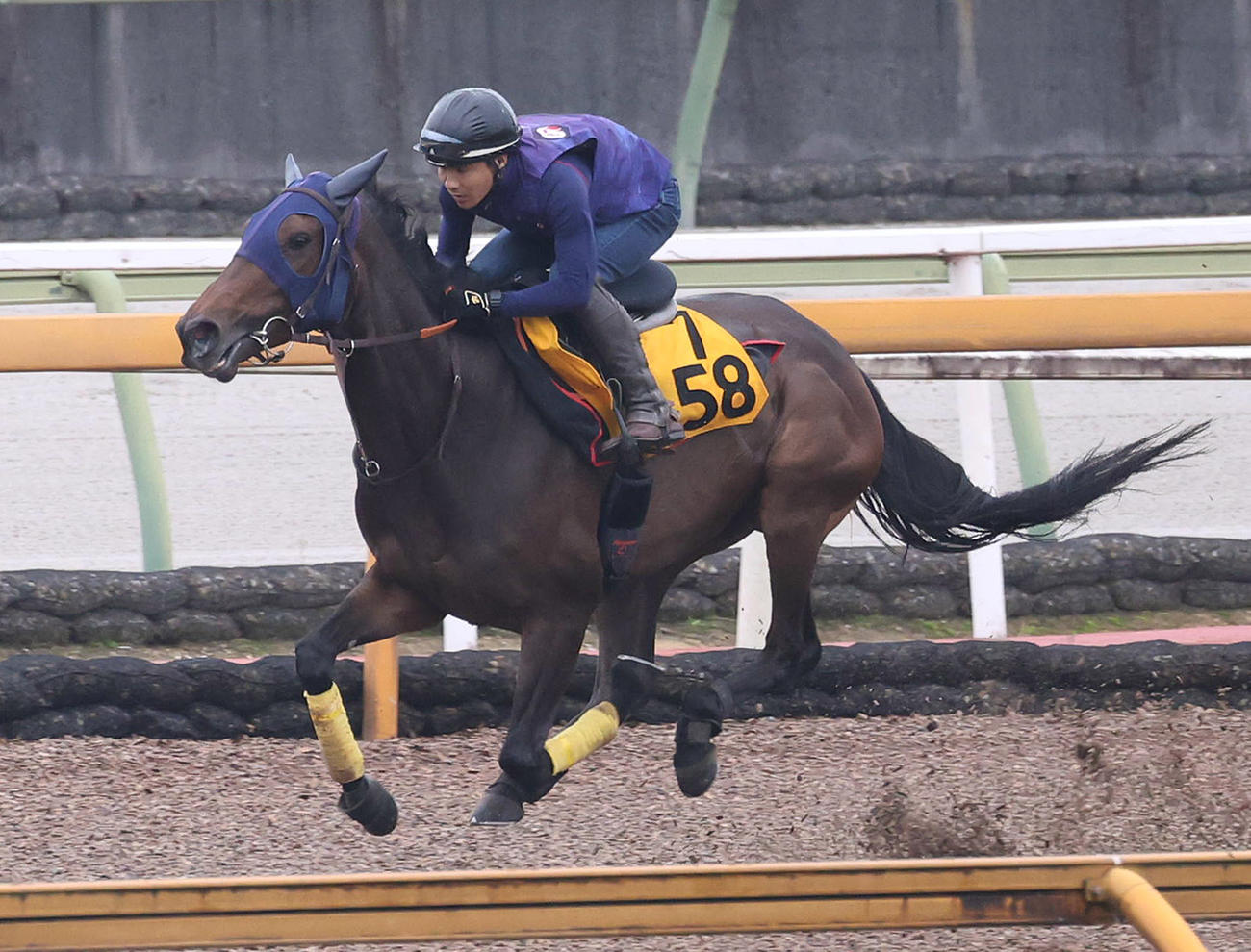 Cウッドを単走で追い切るサンカルパ（撮影・白石智彦）