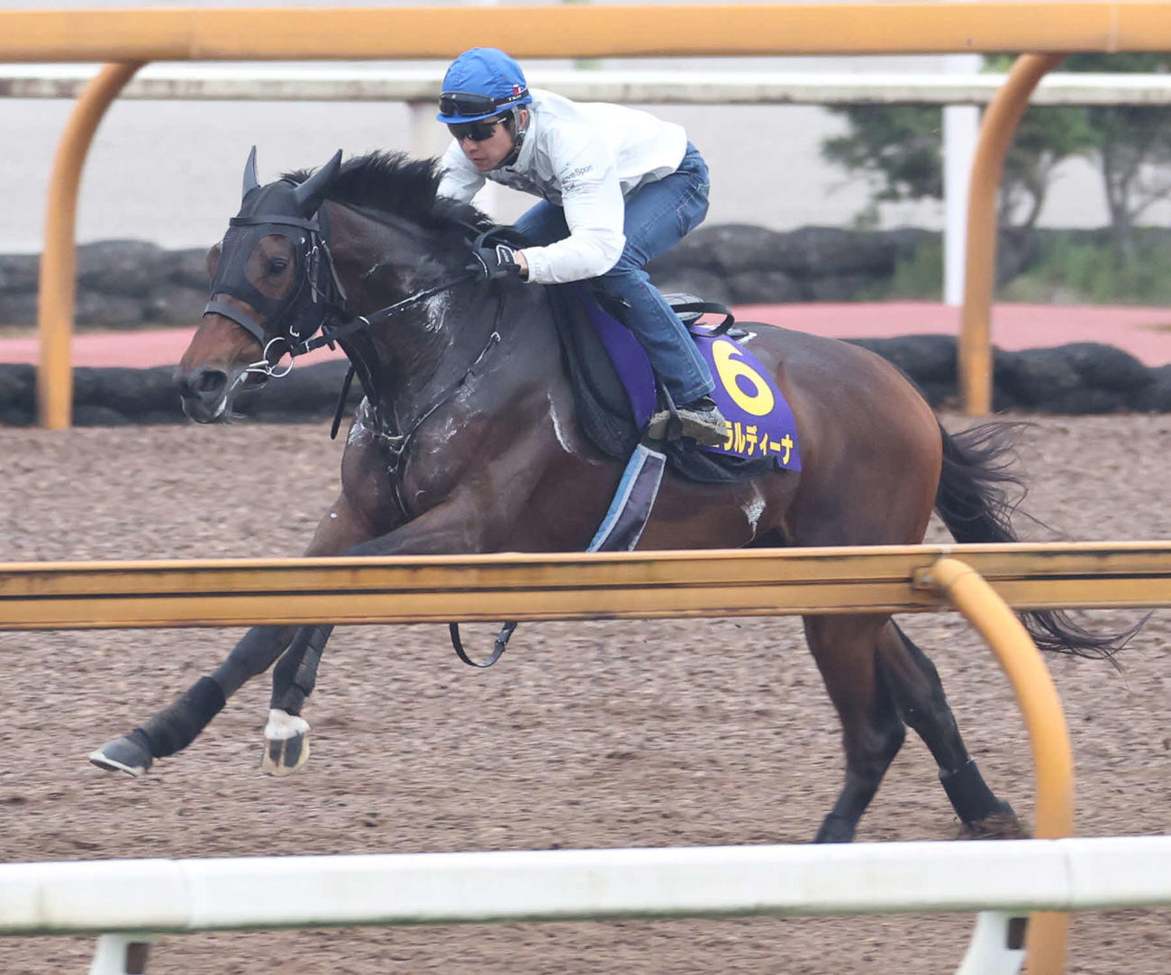 武豊騎手を背にCWコースで追い切るジェラルディーナ