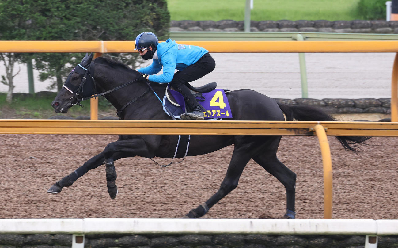 松山騎手を背にCウッドを単走で追い切るヴェラアズール（撮影・白石智彦）