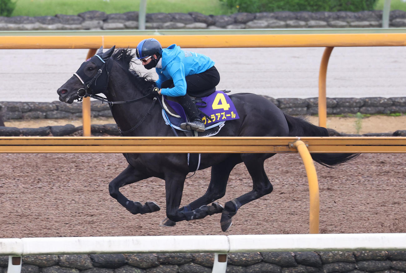 松山騎手を背にCウッドを単走で追い切るヴェラアズール（撮影・白石智彦）