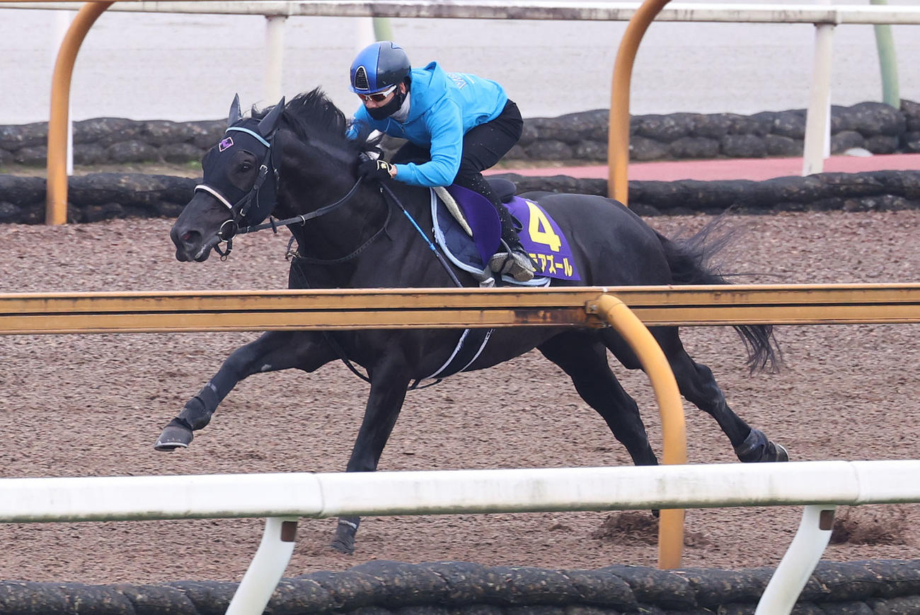 松山騎手を背にCウッドを単走で追い切るヴェラアズール（撮影・白石智彦）