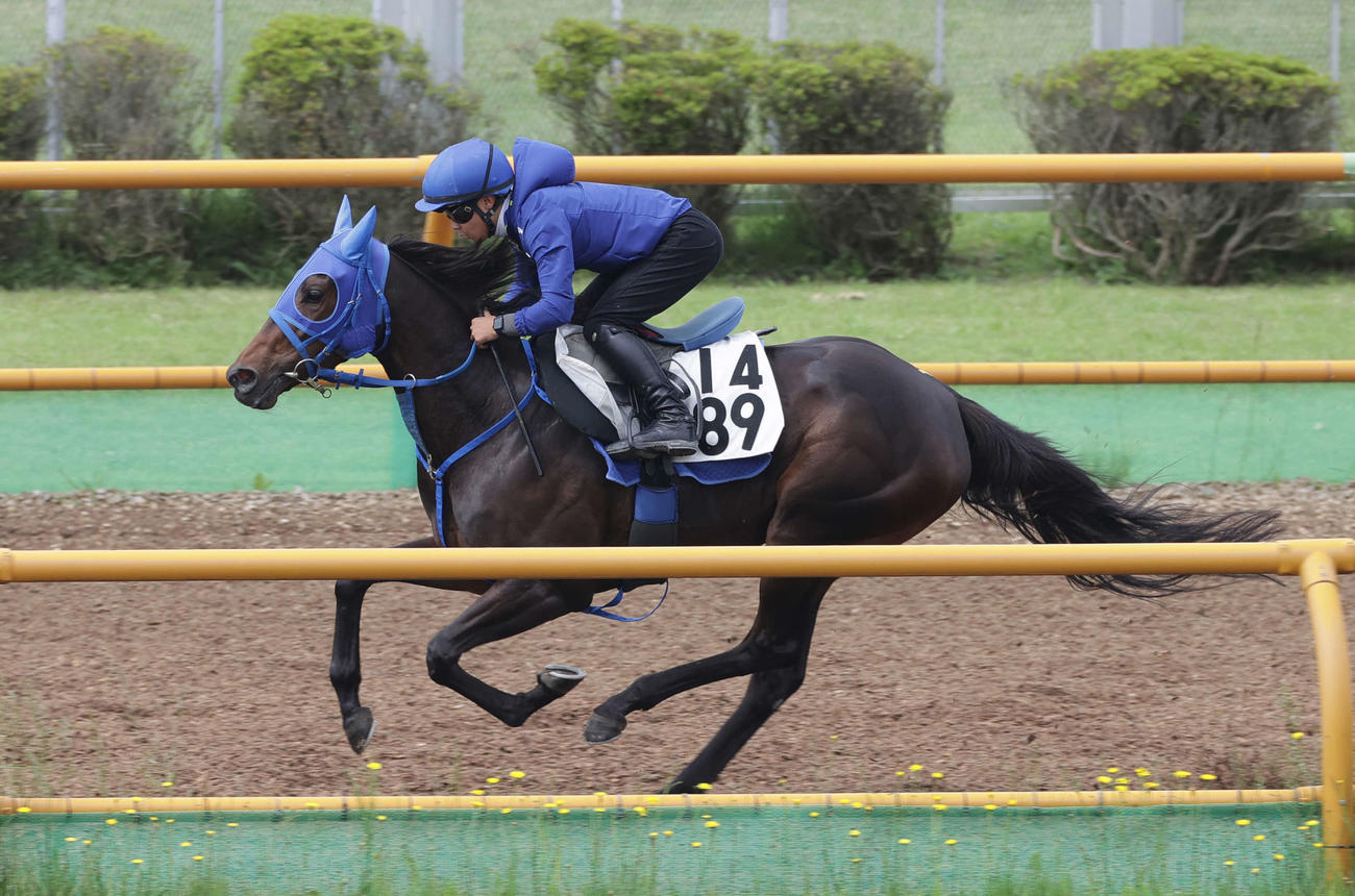 14日、小沢騎手を背に、函館ウッドチップコースで追い切られるドロップオブライト