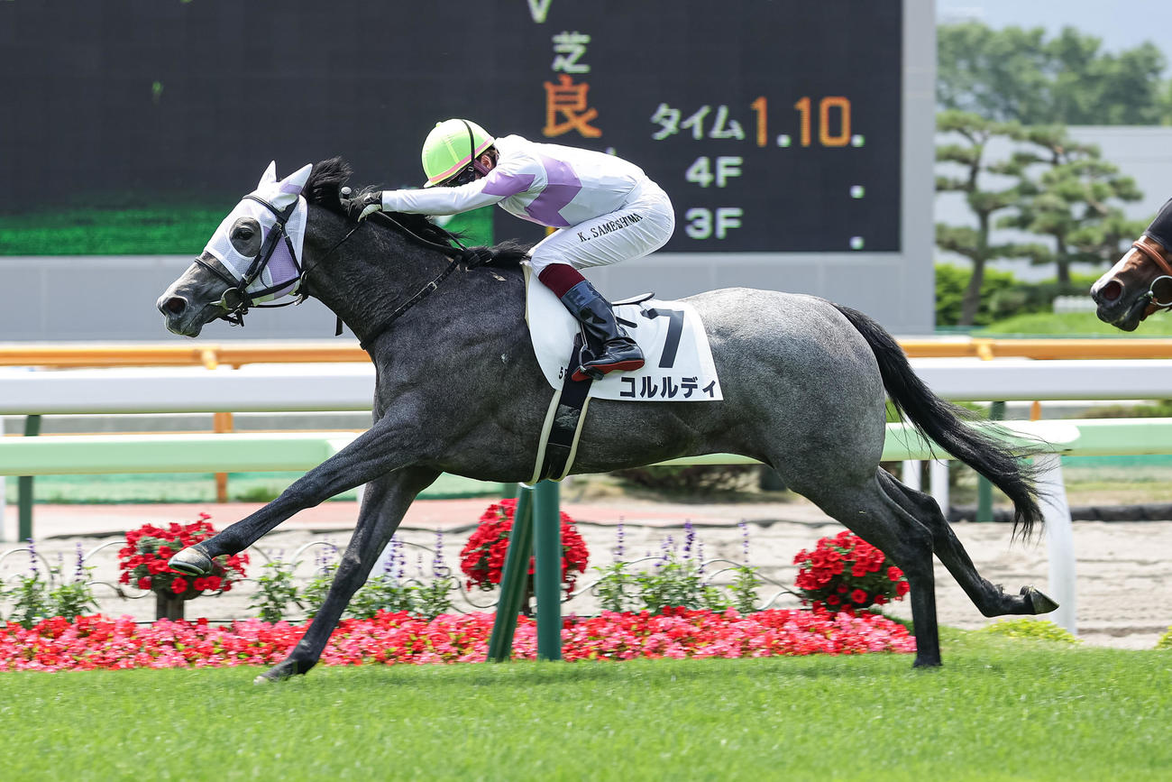 函館5R、デビュー戦を制したコルルディと鮫島駿騎手（撮影・村野早祐）