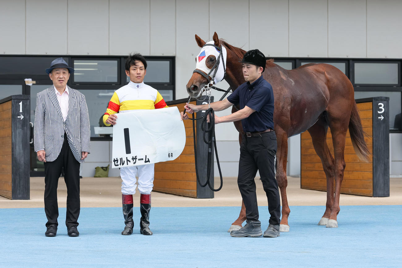 函館6R、デビュー戦を制したゼルトザーム（撮影・村野早祐）